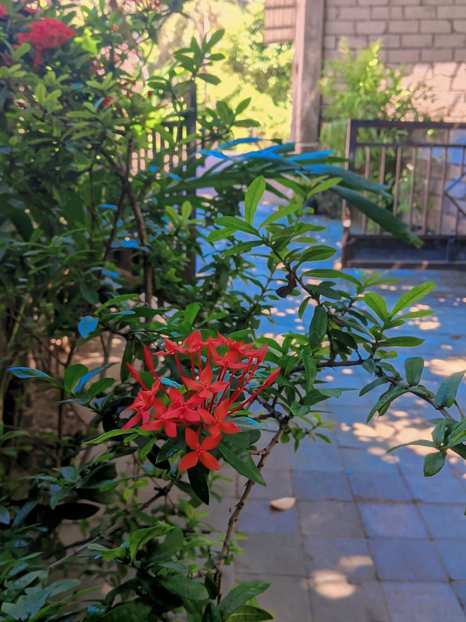 Three V Homestay Kuta  Exterior foto